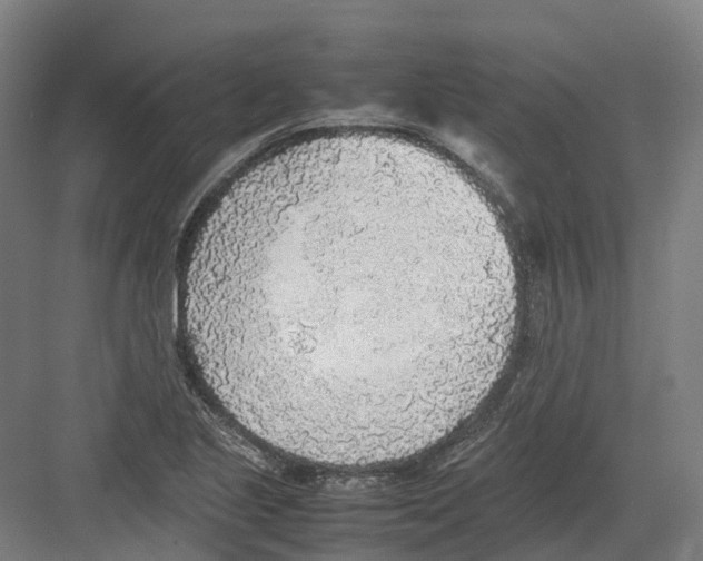 X0000082151221200702162200