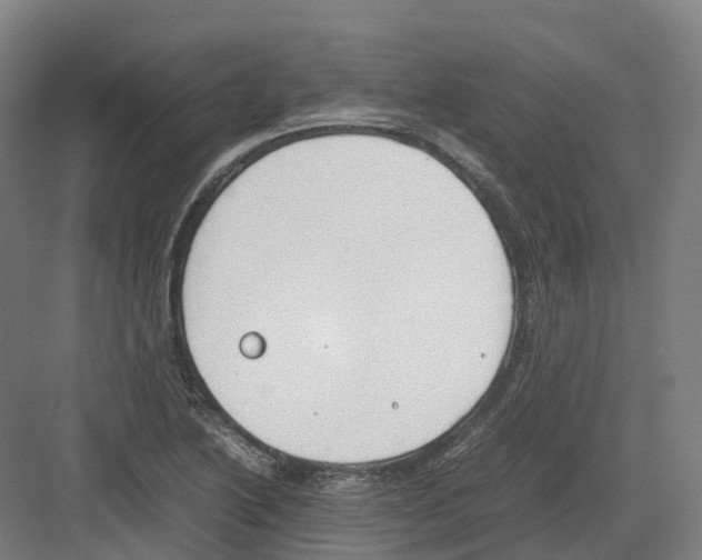 X0000082151222200702162200