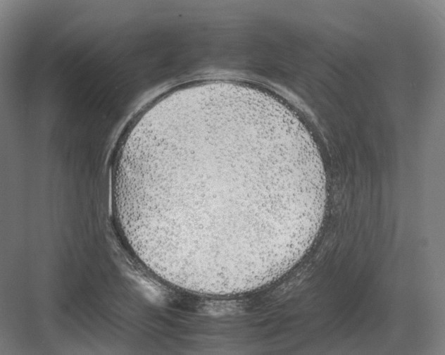 X0000082151223200702162200