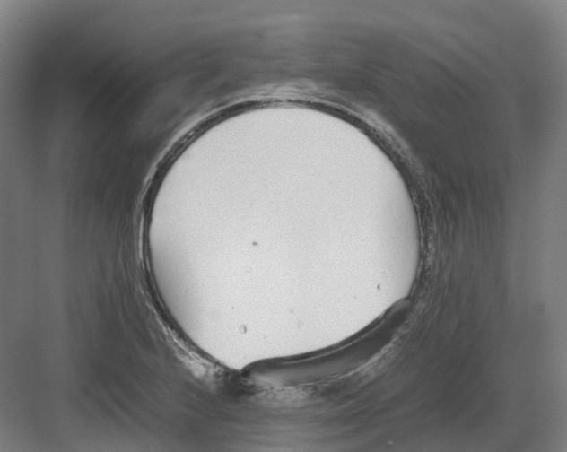 X0000082151224200702162200