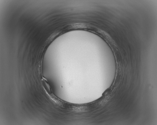 X0000082151225200702162200