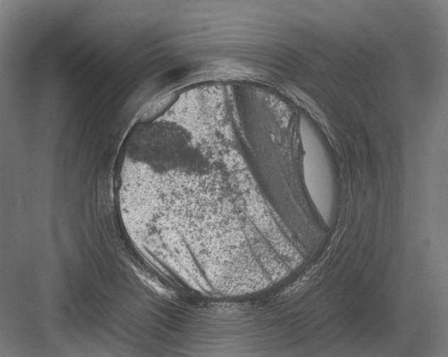 X0000082151226200702162200