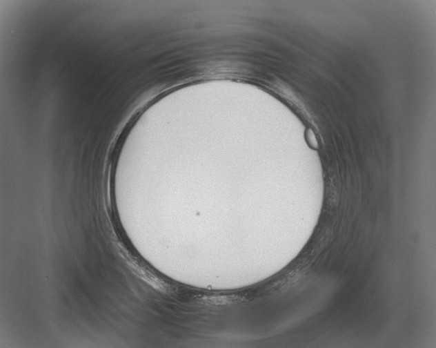 X0000082151227200702162200