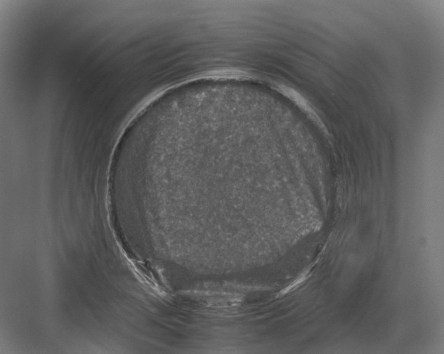 X0000082151229200702162200