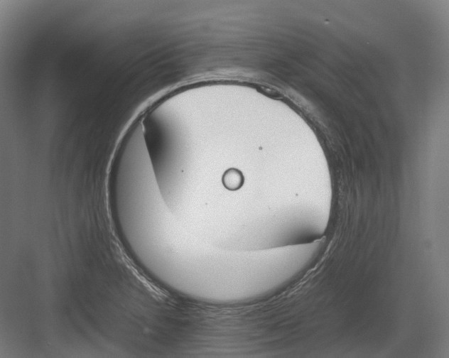 X0000082151230200702162200