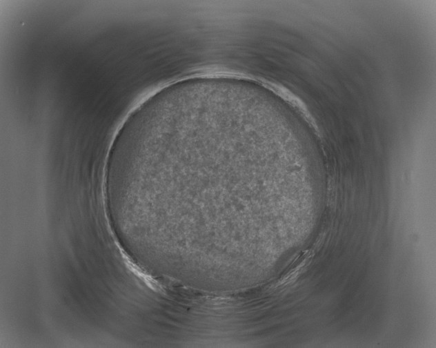 X0000082151231200702162200