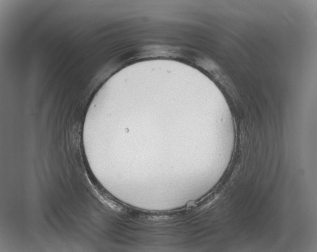 X0000082151233200702162200