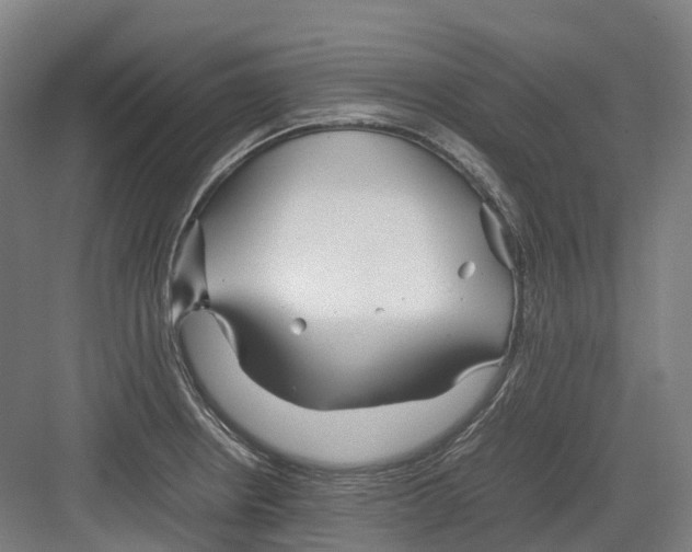 X0000082151234200702162200