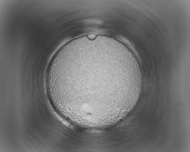 X0000082151235200702162200