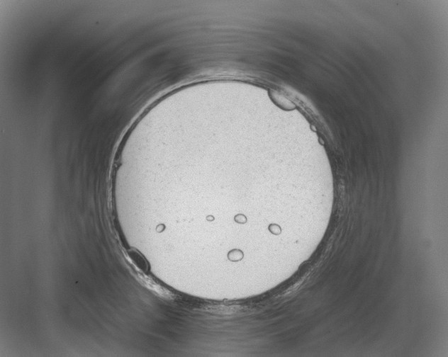 X0000082151236200702162200