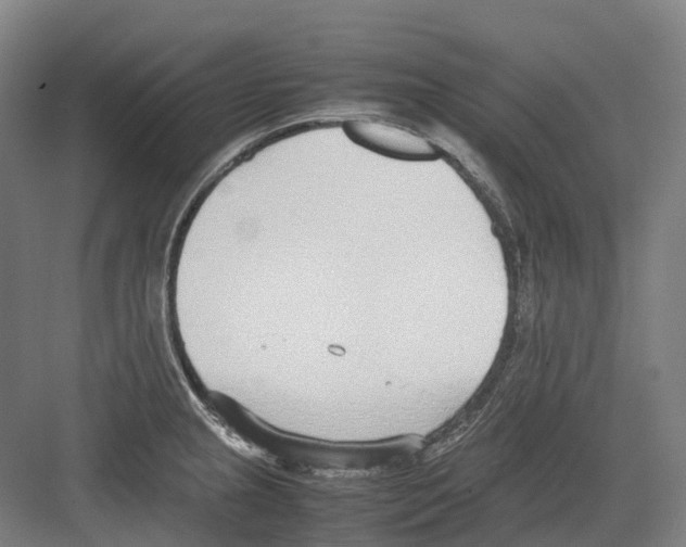 X0000082151237200702162200