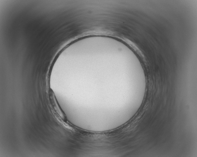 X0000082151238200702162200