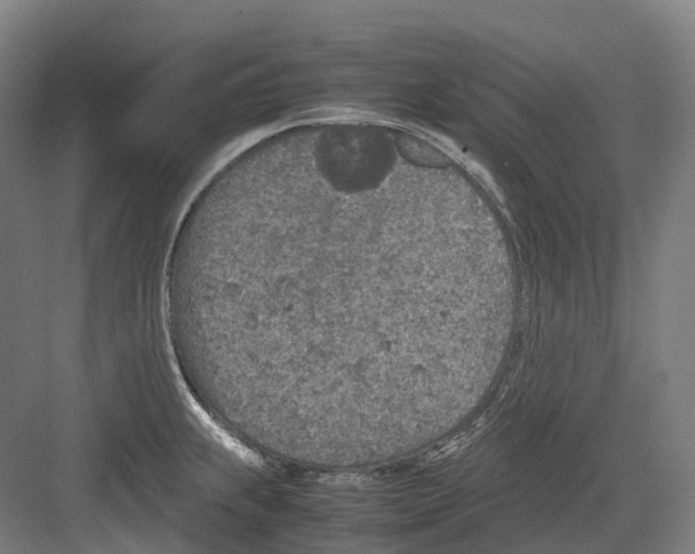 X0000082151239200702162200