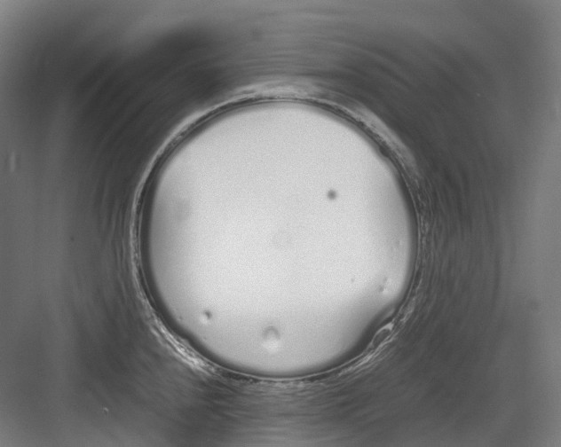 X0000082151240200702162200