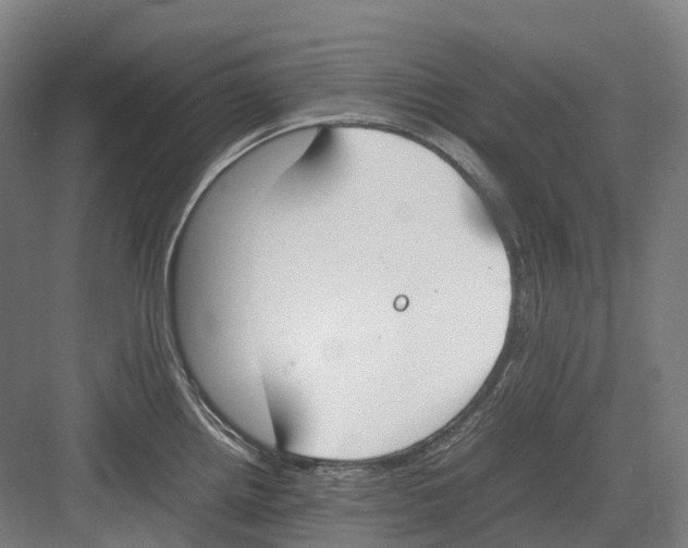 X0000082151242200702162200