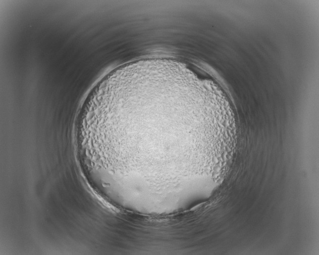 X0000082151243200702162200