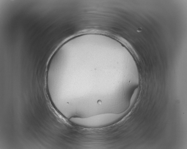 X0000082151244200702162200