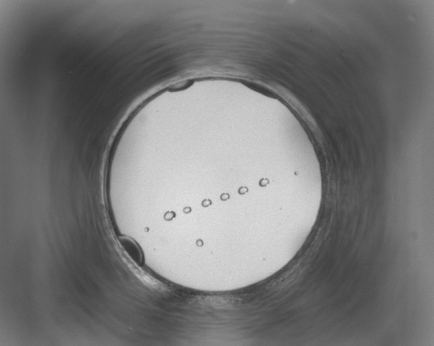 X0000082151246200702162200