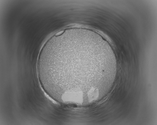 X0000082151247200702162200