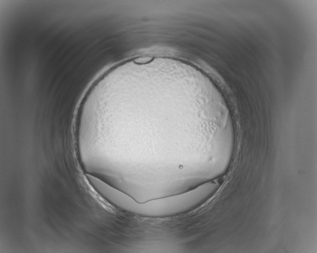 X0000082151248200702162200