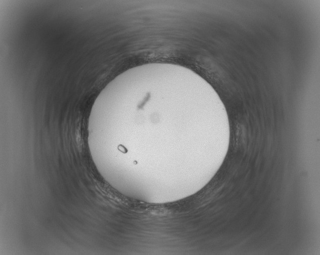 X0000082151250200702162159