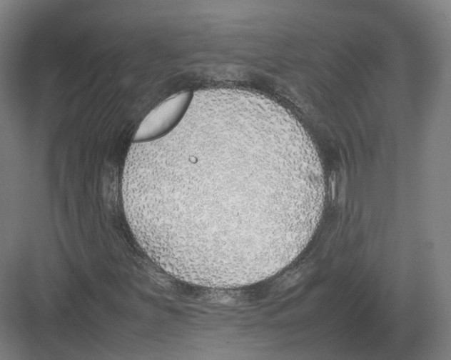 X0000082151251200702162159