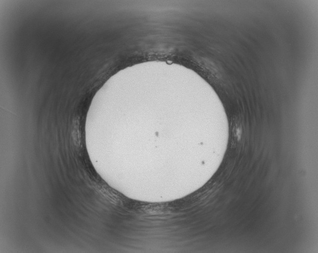 X0000082151252200702162159