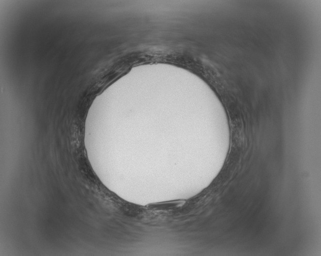 X0000082151253200702162159