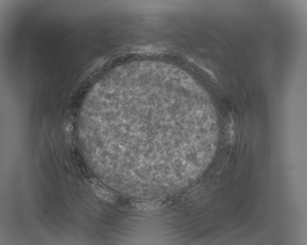 X0000082151254200702162159