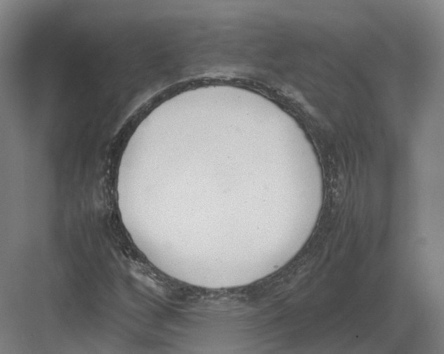 X0000082151256200702162159