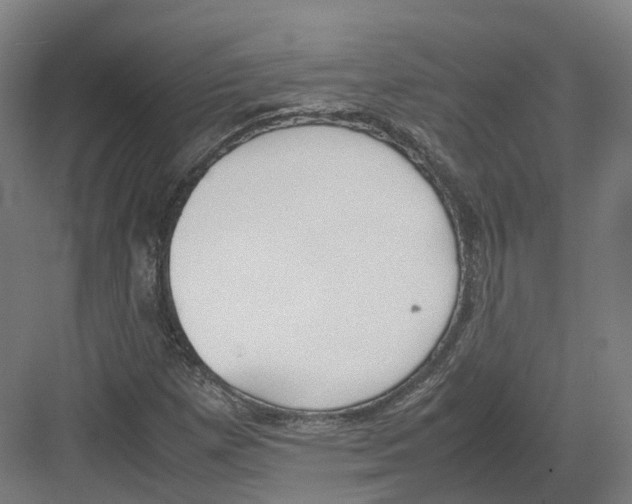 X0000082151257200702162159