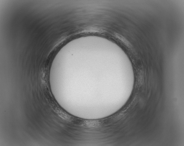 X0000082151258200702162159