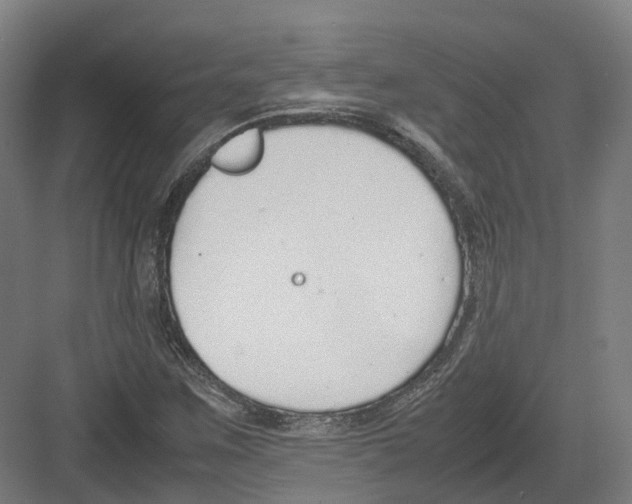 X0000082151259200702162159