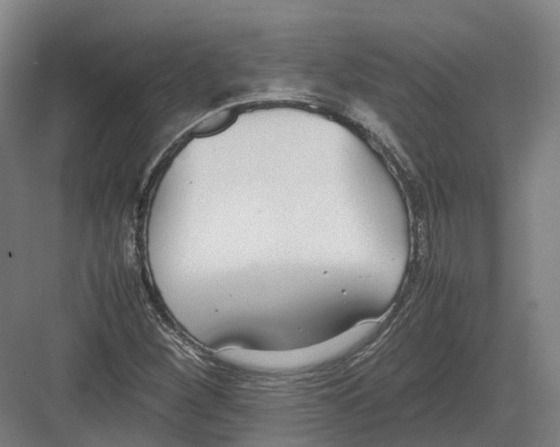 X0000082151260200702162159