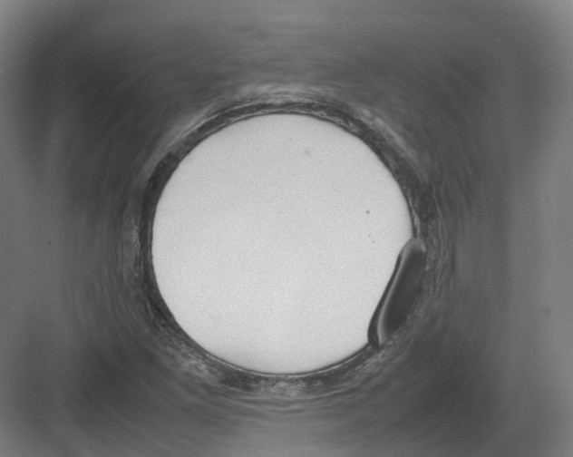 X0000082151261200702162159