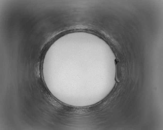 X0000082151262200702162159