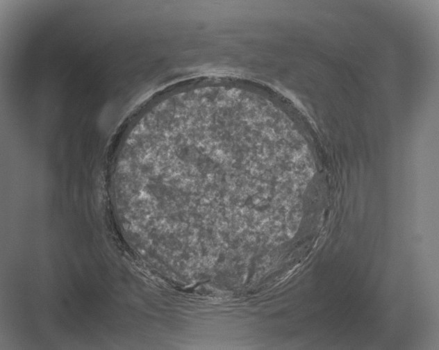 X0000082151263200702162159