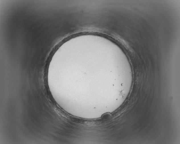 X0000082151264200702162159