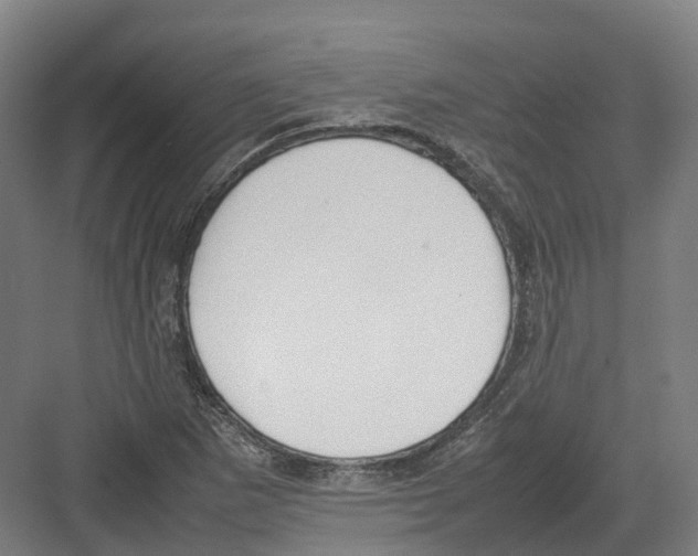 X0000082151265200702162159