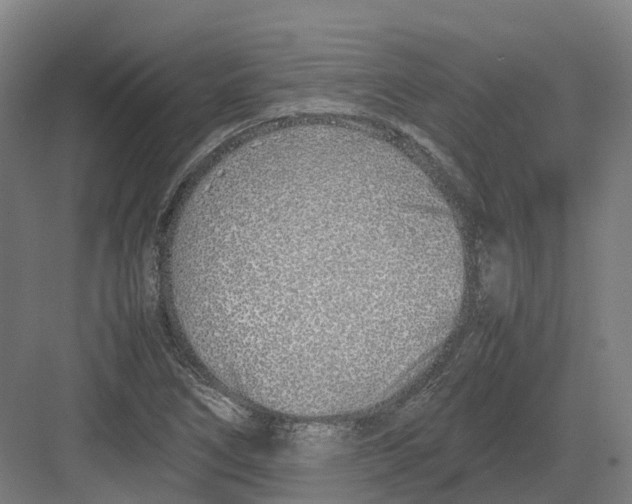 X0000082151266200702162159