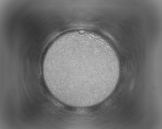 X0000082151267200702162159