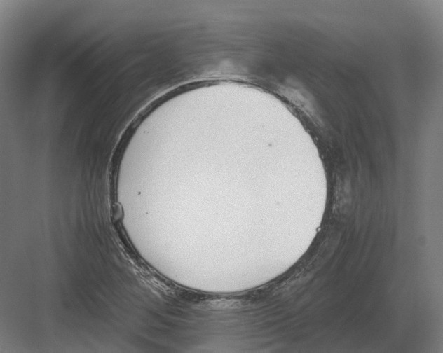 X0000082151268200702162159