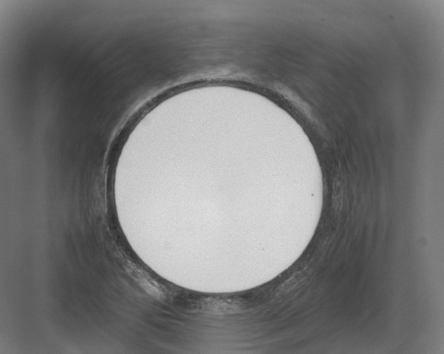 X0000082151270200702162159