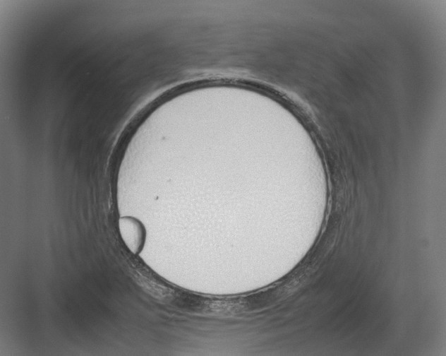 X0000082151271200702162159