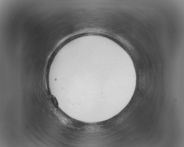 X0000082151272200702162159