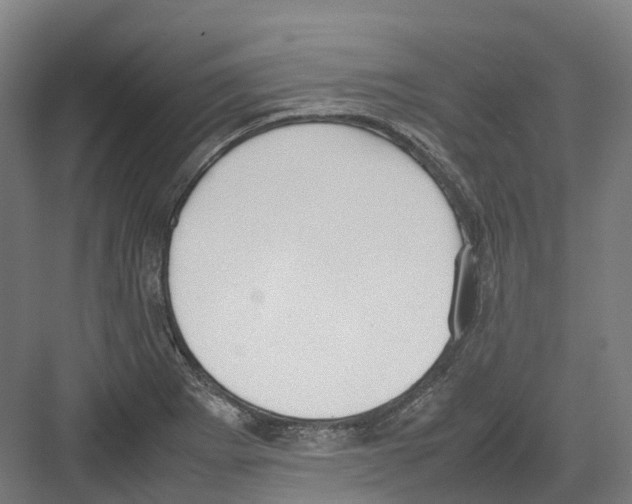 X0000082151273200702162159