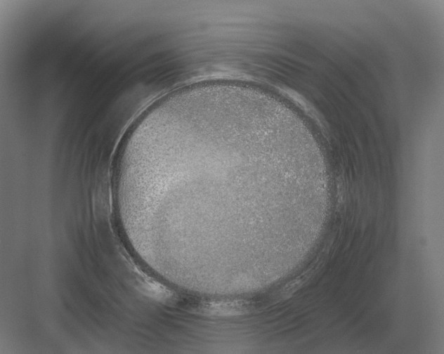 X0000082151274200702162159