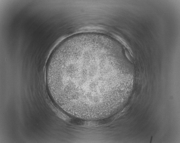 X0000082151275200702162159