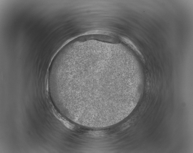 X0000082151276200702162159