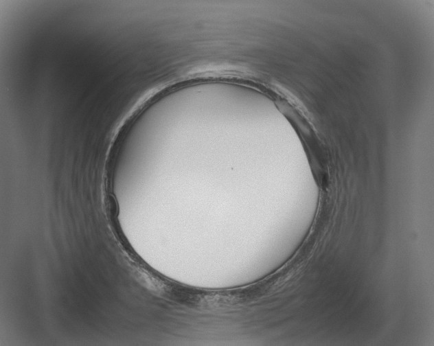 X0000082151277200702162159